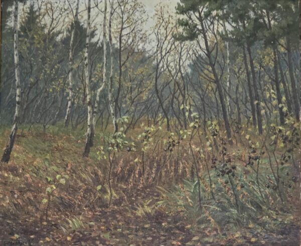 Fritz Wildhagen, Las - obrazek 3