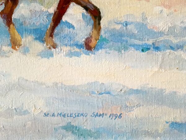 Sławomir Mieleszko, Sanna, 1996 - obrazek 3