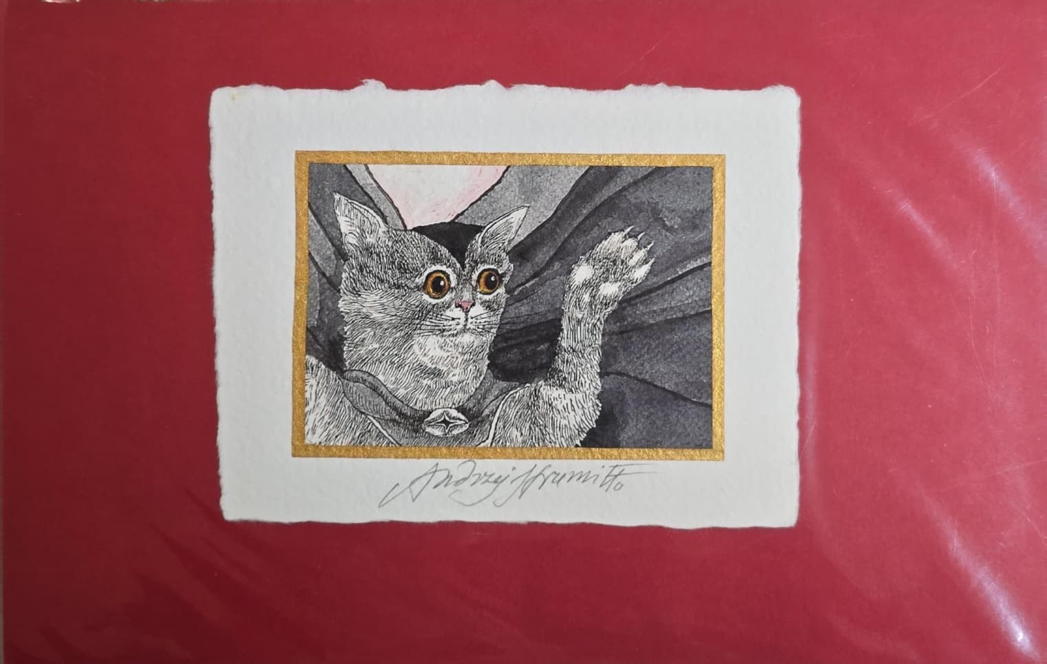 Andrzej Strumiłło Kot superbohater