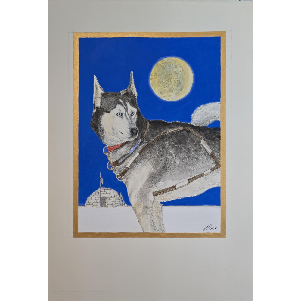 Andrzej Strumiłło, Husky, 2014